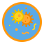 Petri dish icon 64x64