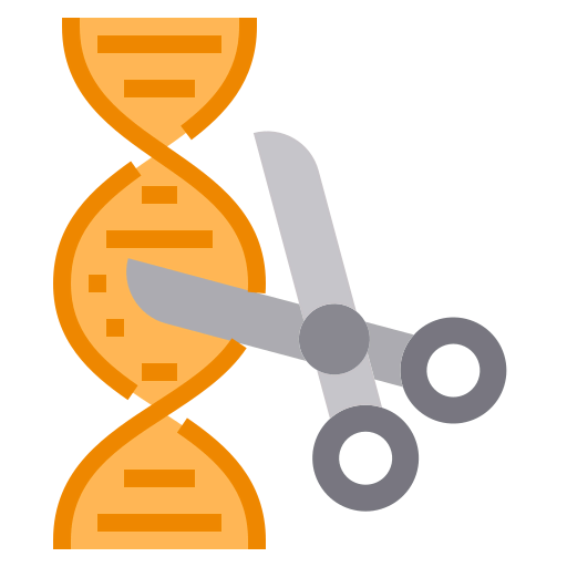 Dna icon