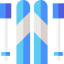 Ski icon 64x64