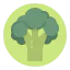 Broccoli biểu tượng 64x64
