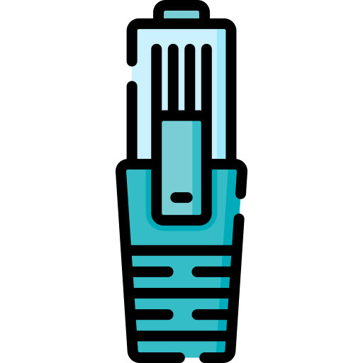 Lan icon