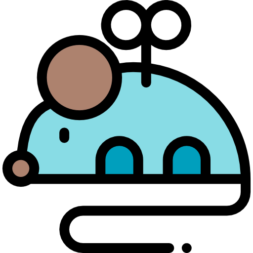 Mouse icon