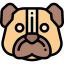 Dog Ikona 64x64