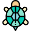 Turtle icône 64x64