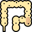Colon ícono 64x64