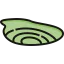 Moray icon 64x64