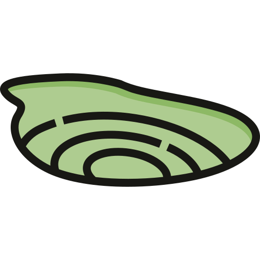 Moray icon