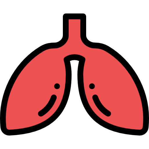 Liver icon