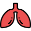 Liver icon 64x64
