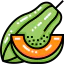 Papaya icon 64x64