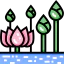 Lotus icon 64x64