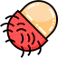 Rambutan 图标 64x64