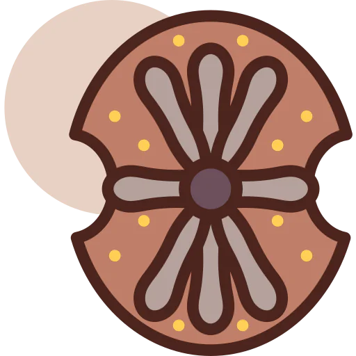 Shield icon