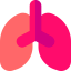 Lungs ícono 64x64