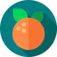 Orange icon 64x64