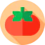 Tomato icon 64x64