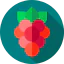 Grapes icon 64x64