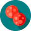Pepperoni アイコン 64x64
