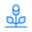 Flower icon 64x64