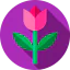 Tulip icon 64x64