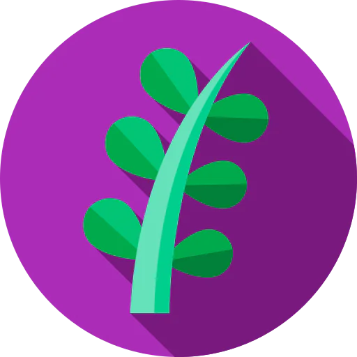 Willow icon