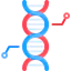 Dna 图标 64x64