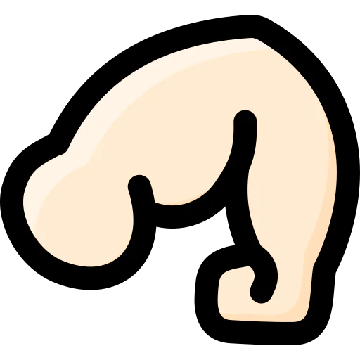 Arm icon