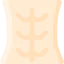 Abdominal icon 64x64