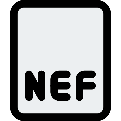 Raw file icon
