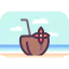 Coconut drink icon 64x64