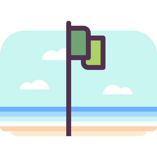 Flag icon