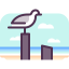 Gull icon 64x64