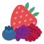 Berries Ikona 64x64