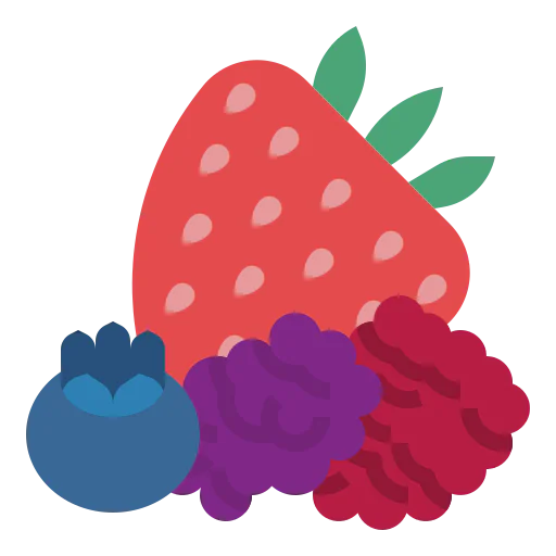 Berries icon