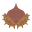 Chestnut ícono 64x64