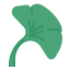 Ginko icon 64x64