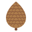 Pine cone icône 64x64
