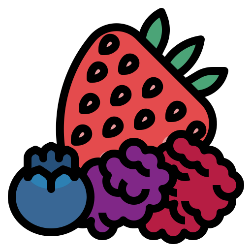 Berries icon
