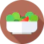Salad icon 64x64