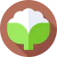 Cauliflower icon 64x64