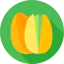 Pistachio icon 64x64