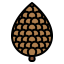 Pine cone icône 64x64