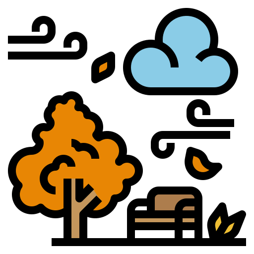 Windy icon