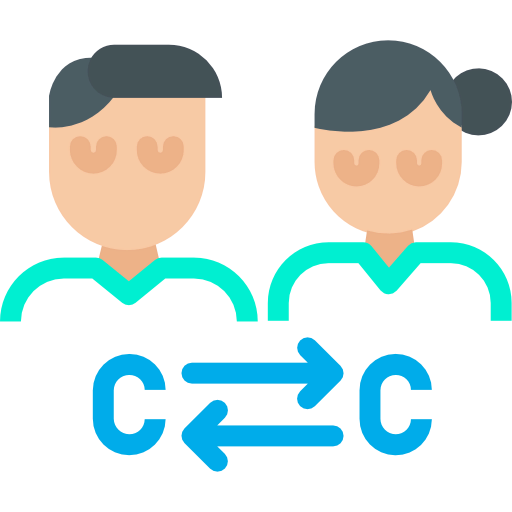 Consumer icon