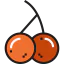 Cherry icon 64x64