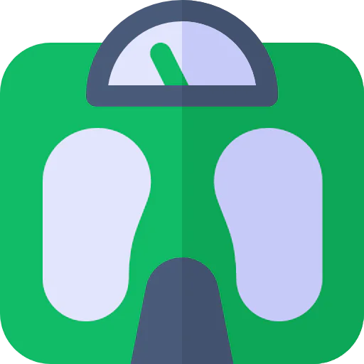 Scale icon