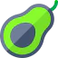 Avocado icon 64x64