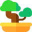 Bonsai icon 64x64