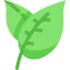 Leaf icon 64x64