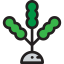 Seaweed icon 64x64